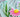 Container Garden Wishes