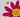 Summer Birthday Petal Pusher