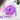 Altenew Magical Peony Press Plate and Stencil Set