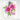 ALT Craft-A-Flower: Coreopsis Layering Die Set