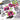 Altenew Inked Poppies Press Plate for creating floral images with letter press or hot foil techniques for cardmaking and scrapbook layouts