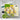 Whispering Woodland Fresh Dye Reinker Set