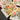 The Greetery These Are The Days Collection Birth Month Blooms Q4 ideal for Winter Themed Birthday cards as well as calendars