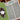 The Greetery Have a Spine Die to create book shaped cards for all occassions