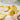 The Greetery Honeycomb Balls Spring Chick Mix