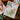 The Greetery These Are The Days Collection Calendar Basics Die