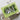 A Pocket Full of Happiness Layering Irregular Shapes Forest Add-On Die