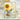 Lawn Fawn Sunny Sunflower Die