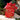North Pole Post by The Greetery great sentiments to create stamps to the north pole or gift card elements for Christmas