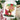 rugs and cushions for cozy greeting cards for christmas