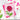 Waffle Flower Inside/Outside Scalloped Circle Die for card making and paper crafts