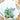 Waffle Flower Crafts Family Christmas Sentiments Matching Die