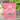 Waffle Flower Crafts Quatrefoil Texture Die and Quatrefoil Panel Die