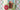 Coffee Lovers Blog Hop Fall 22