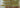 Leaves on YouTube