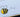 Bee Mine