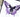 Butterfly Blessings