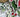 Christmas Foliage