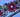Bloom in Winter