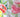 Floral Fancies