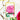 ALT Ambridge Rose Die Set