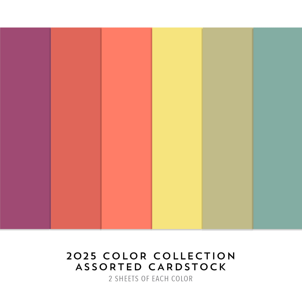 C9 2025 Color Collection Assorted Cardpack (12 sheets 2 of each colour ...