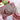 LZ Merry Christmas to You and Your Family