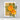 ALT Craft-A-Flower Marigold Layering Die
