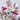 PFH Floral Butterfly Die