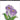 ALT Winter Crocus Die