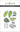 Altenew Rainforest Leaves Die set for cardmaking and paper crafts.  UK Stockist, Seven Hills Crafts