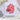 Altenew Craft-A-Flower Amaryllis Die for creating floral die cuts for cardmaking and scrapbook layouts