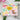 Hibiscus Stencil (set of 2)