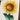 Big & Bold - Ukraine's Sunflower (Fundraising Product) Stamp and Die Combo