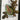 Big & Bold - Brilliant Beetle Die