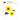 GT BotaniCuts Sunflower Die