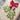 GT Budding Beauties Winter Stamp