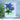 Craft-A-Flower Orion Geranium Layering Die