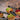 Harvest Fest Collection