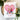 Lucky Star Die
