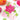 Flower Infinity Die