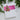 Color Layering Poinsettia Christmas Tree Die