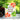 Dry Brush Poinsettia Die Set