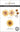 Altenew Bright Bloom Layering Die