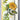 Kristina Werner Spring Bloom Inlay Die