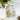 Impressionist Garden Die by The Greetery for cutting out a stencilled image of flowers bridgerton style