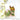 Gentle Butterfly 3D Embossing Folder