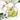 GT Heart Leaf Posy Pocket Die
