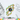 Outline Circles Die