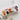 A Pocket Full of Happiness Finger Puppet Cats Die